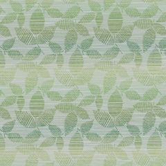 Duralee Contract Jade DN16327-125 Crypton Woven Jacquards Collection Indoor Upholstery Fabric