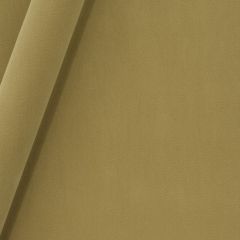 Robert Allen Forever Velvet Camel 245467 Durable Velvets Collection Indoor Upholstery Fabric