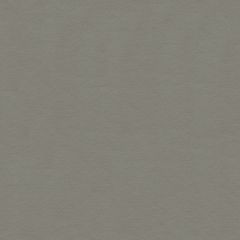 Kravet Design Velvets Grey 34205-1121 Indoor Upholstery Fabric