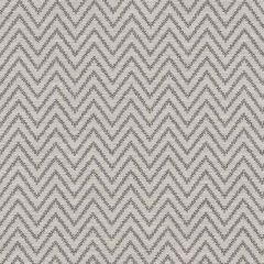 Clarke and Clarke Gravity Charcoal F1129-02 Equinox Collection Multipurpose Fabric