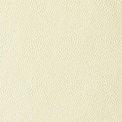 Duralee Sand 32812-281 Decor Fabric