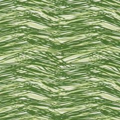 Duralee Green SE42631-2 Nostalgia Prints and Wovens Collection Indoor Upholstery Fabric