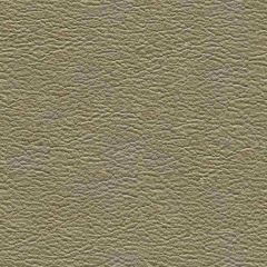 Kravet Contract Bacia Grey 11 Faux Leather Indoor Upholstery Fabric