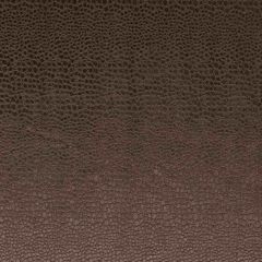 Clarke and Clarke Pulse Espresso F0469-07 Tempo Collection Upholstery Fabric