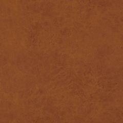 Baker Lifestyle Lexham Amber PF50412-315 Notebooks Collection Indoor Upholstery Fabric