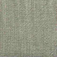 Kravet Basics 35189-2111 Multipurpose Fabric
