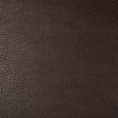 Kravet Design Beholder 6 Indoor Upholstery Fabric
