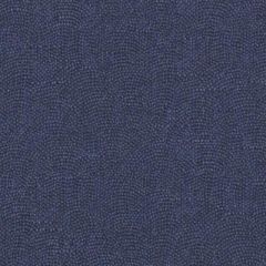 Duralee Denim 32811-146 Decor Fabric