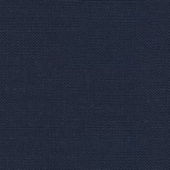Threads Newport Indigo ED85116-680 Multipurpose Fabric