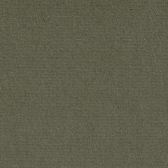 Perennials Plushy Olive 990-264 More Amore Collection Upholstery Fabric