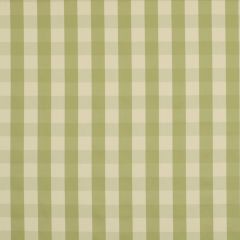 Robert Allen Spring Square-Green Tea 196205 Decor Multi-Purpose Fabric