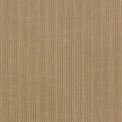 F Schumacher Antique Strie Velvet Reed 69761 Perfect Basics: Antique Strie Velvet Collection Indoor Upholstery Fabric