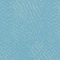 Duralee Astral-Aegean by Eileen K. Boyd 32793-246 Decor Fabric