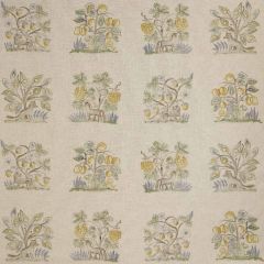 Kravet Couture Hedgerow Quince AM100317-516 Kit Kemp Collection by Andrew Martin Multipurpose Fabric