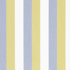 Beacon Hill Jasmine Stripe-Chartreuse 226062 Decor Multi-Purpose Fabric