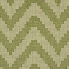 F Schumacher Verne Green 76533 World View Collection Indoor Upholstery Fabric
