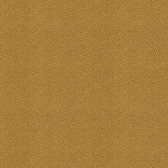 Kravet Contract Izzie Gold Rush 32267-40 Crypton Incase Collection Indoor Upholstery Fabric