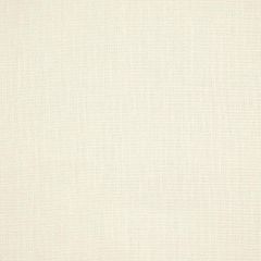 Robert Allen Palmer Plain-Luna 196993 Decor Upholstery Fabric