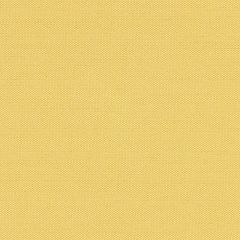 Perennials Sail Cloth Citrus 680-135 Uncorked Collection Upholstery Fabric