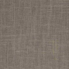 Robert Allen Linen Slub Truffle 222209 Indoor Upholstery Fabric