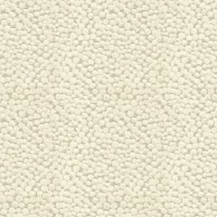Kravet Polka Dot Plush Natural 32972-1116 Indoor Upholstery Fabric