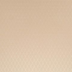 Beacon Hill Lila Diamond Travertine 247701 Silk Jacquards and Embroideries Collection Drapery Fabric