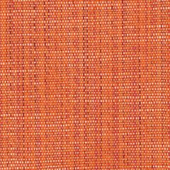 Perennials Stree-Yay! Red Coral 942-166 Kidding Around Collection Upholstery Fabric