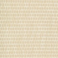 Kravet Design 34698-16 Crypton Home Indoor Upholstery Fabric