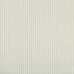 Lee Jofa Cap Ferrat Stripe Leaf 2018146-123 by Suzanne Kasler Indoor Upholstery Fabric