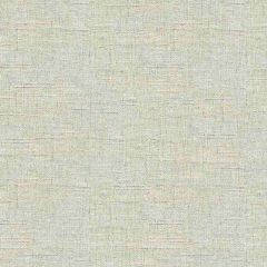 Kravet Basics Grey 32301-1611 Multipurpose Fabric
