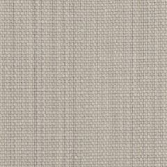 Perennials Rough Copy Quartz 956-269 Uncorked Collection Upholstery Fabric