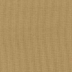 Stout Gorgeous Cornhusk 36 Softer Side Faux Silk Collection Drapery Fabric