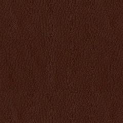 ABBEYSHEA Turner 11 Brick Indoor Upholstery Fabric