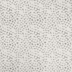 Kravet Olivos Gris 4474-21 Malibu Collection by Sue Firestone Drapery Fabric