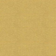 Kravet Smart Yellow 32924-40 Guaranteed in Stock Indoor Upholstery Fabric