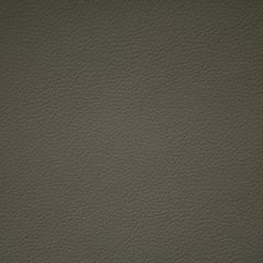 Aldeco Storm Fr Stone Anthracite A9 0010STOR Bloom Collection Contract Upholstery Fabric