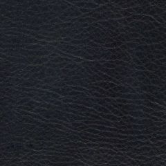 Allegro 7060 Coal Marine Upholstery Fabric