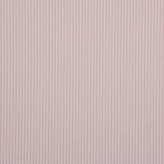 Robert Allen Cottage Stripe-Candy 133787 Decor Multi-Purpose Fabric