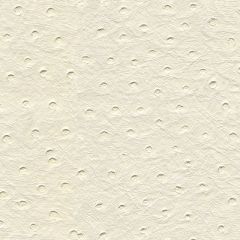 Kravet Design White Senna 101 Indoor Upholstery Fabric