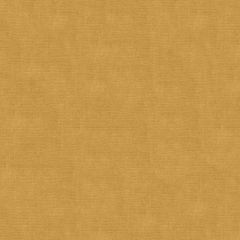 Kravet Design Orange 33125-404 Indoor Upholstery Fabric