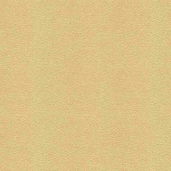 Kravet Couture Beautymark Fog 116 Faux Leather Indoor Upholstery Fabric