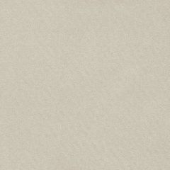 F. Schumacher Blake Sand 69581 Perfect Basics: Polished Poplin Collection