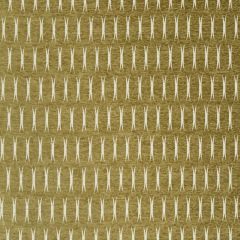 Robert Allen Plush Form Bk Amber 246435 Indoor Upholstery Fabric