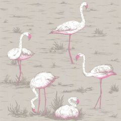 Cole and Son Flamingos Grey 66-6042 New Contemporary Collection Wall Covering