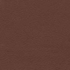 F. Schumacher Brisa Canyon 303-3825 Ultraleather Collection