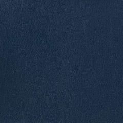 Kravet Otto Blue 5 Indoor Upholstery Fabric