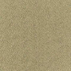 F Schumacher Kenya Texture Mineral 62571 Indoor Upholstery Fabric