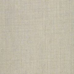 Robert Allen Linen Canvas-Ice 231358 Decor Upholstery Fabric