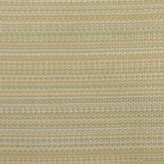 Duralee Pistachio 36219-399 Royal Palm Indoor/Outdoor Woven Collection Upholstery Fabric