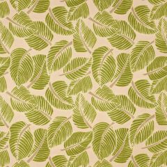 F Schumacher Costa Rica Leaf 176190 Good Vibrations Collection Indoor Upholstery Fabric